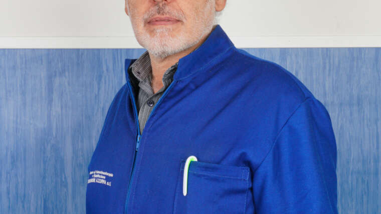 Domenico Ciavolino